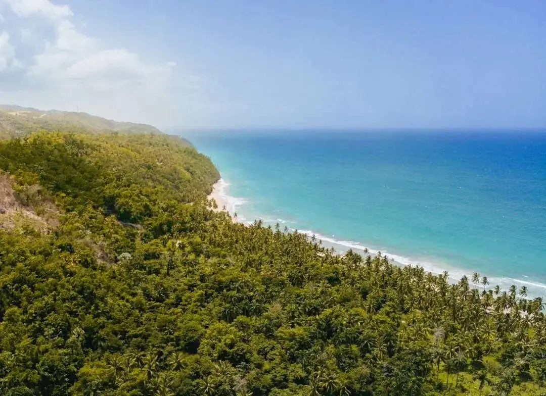 Invest in Las Terrenas real estate